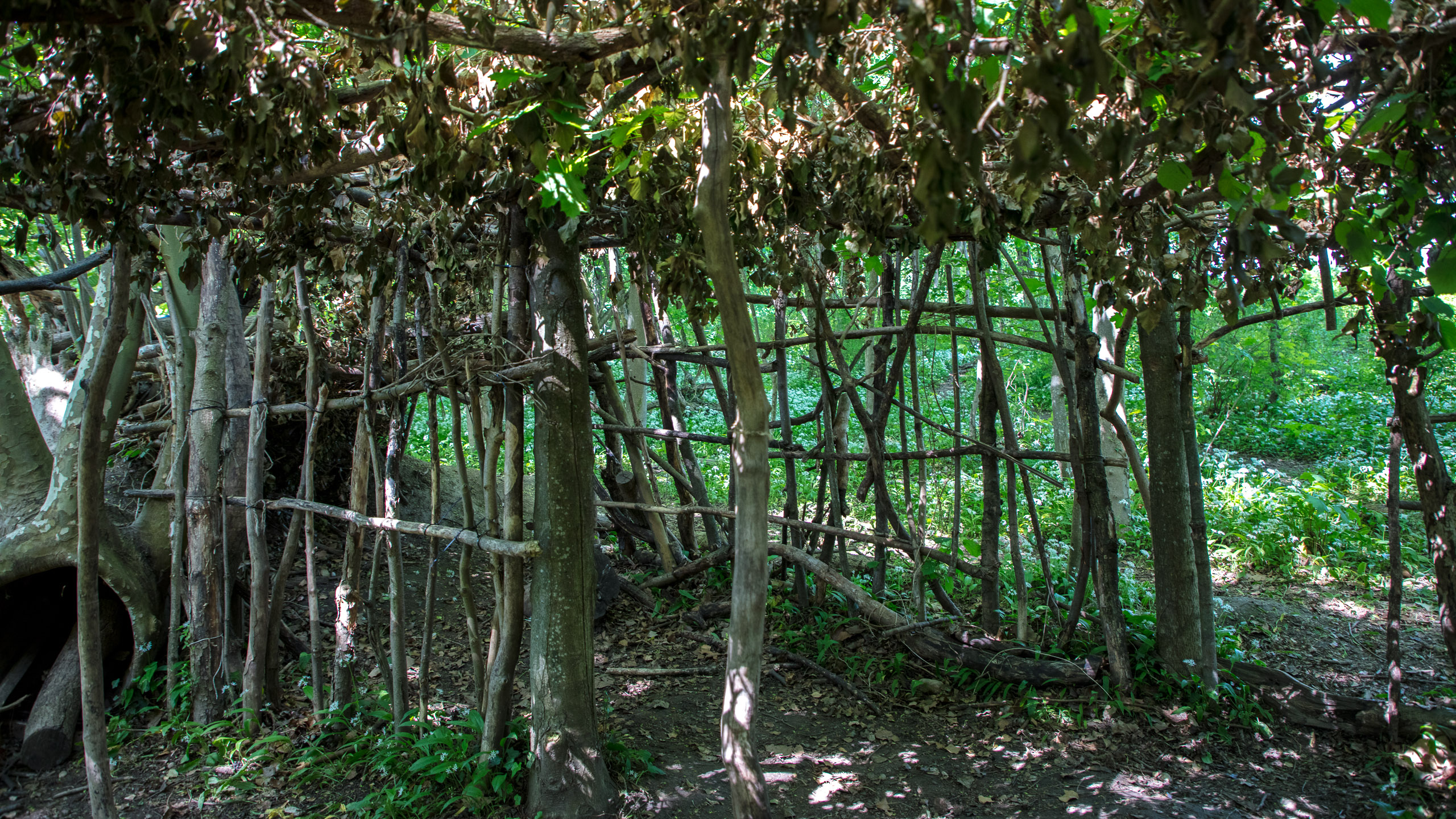 20220508125526 DP017555